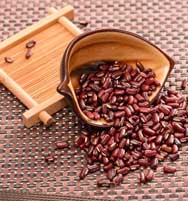 行业动态 行业动态